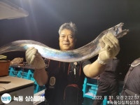 (녹동싱싱피싱)오늘자리여유.대박평균4지급으로얼음없이가득담아왔습니다.선예약받습니다.