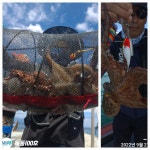 문어 오전반조황.금토일 문어예약가능합니다