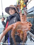 2022-0202-1297 | 점주 선상조황(2022) 1294 페이지 > 인낚ㅣ인터넷바다낚시