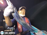 점주 선상조황(2022) 1172 페이지 > 인터넷바다낚시