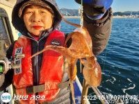쭈꾸미 잼나네요실시간