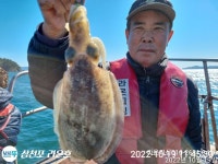 쭈꾸미 잼나네요실시간