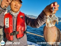 쭈꾸미 잼나네요실시간