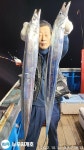 인셀덤무지개 대치점 | 뉴무지개 왕갈치 대치들 위주로 꾸준합니다