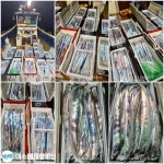 점주 선상조황(2022) 654 페이지 > 인낚ㅣ인터넷바다낚시