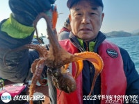 쭈꾸미 손맛이 잼나네요