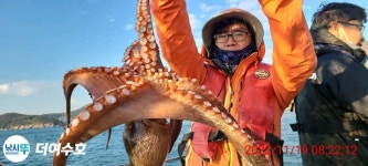 점주 선상조황(2022) 422 페이지 > 인낚ㅣ인터넷바다낚시