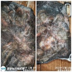 점주 선상조황(2022) 422 페이지 > 인낚ㅣ인터넷바다낚시