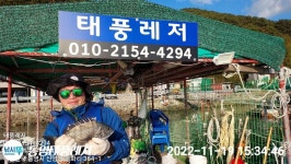 태풍미역양식장 조황입니다