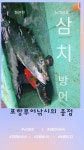 점주 선상조황(2022) 376 페이지 > 인낚ㅣ인터넷바다낚시