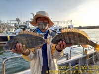 점주 선상조황(2022) 276 페이지 > 인낚ㅣ인터넷바다낚시