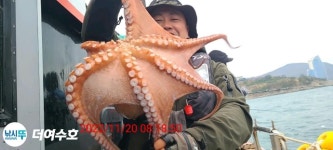 점주 선상조황(2022) 275 페이지 > 인낚ㅣ인터넷바다낚시