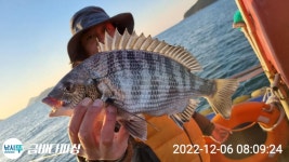 점주 선상조황(2022) 234 페이지 > 인낚ㅣ인터넷바다낚시