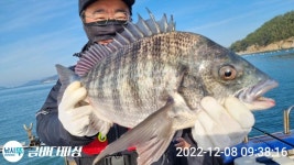 점주 선상조황(2022) 212 페이지 > 인낚ㅣ인터넷바다낚시