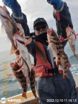 녹동대성호/진도/ 다복스럽게 주렁주렁 씨알좋은 왕열기 손맛일품~!!
