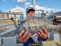 점주 선상조황(2022) 109 페이지 > 인낚ㅣ인터넷바다낚시