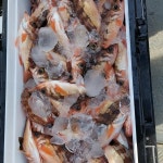 웨이브호왕대구왕열기출조