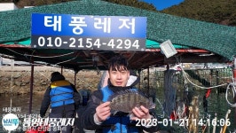 설명절 하루전 카고좀 해보신분은 다들 손맛보심..