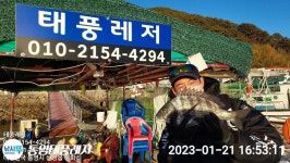 설명절 하루전 카고좀 해보신분은 다들 손맛보심..