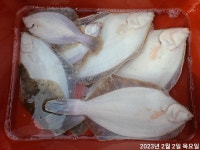 세진호/돌문어 kg급들~금.가능