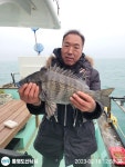 선상흘림 감성돔 5짜 외 중치들로