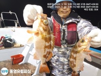 통영유림) 6짜우럭.4짜쏨벵이.3짜왕열기.뽈락조황(예약가능)