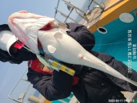 (東)동해조황 - 뉴해마호 금일왕대구조황 입니다...^^