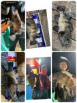 수요일30급볼락과참우럭 오늘목요일모집중 금토모집중
