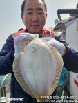 13일)현재 투피 쓰리피 잘 올라 옵니당