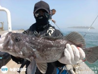 (西)서해조황 - 대성호/행운호/진도/왕우럭/ 만쿨에서 기본까지~ 손맛 봤습니다 ^^