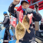 참가자미, 도다리 폭팔! 오늘오후1시 여유석 널널~~!