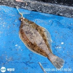 현재)최상! 오자마자타작중! 오늘:오후1시 여유석 운동장!!