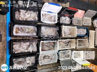 20명 전원 만쿨조황ㆍ통영창현호ㆍ