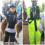 매일 이어지는 폭탄조황 왕도다리,왕참가자미 마리수 타작