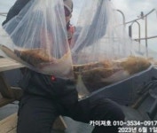 1일)오전 왕도다리왕참가자미 듬뿍~