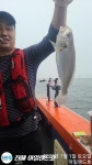 국민반찬 백조기 씨알굿!마릿수굿!