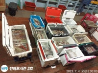 통영명륜14인승)한치 대폭발 최대 150수 쿨러~짱 고생하셨습니다(계속예약가능)