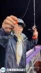 해성골드 용왕님께서 왕한치큰선물을주셨네요(토예약가능)