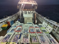 여수 퍼펙트호) 심해 갑오징어 조황보고 (1/12일 현재 11자리여유)