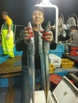 {통영호반호}통영바다는 대갈치들 바글바글 함니다~!
