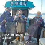 (東)동해조황 - 포항 돌문어/ 오늘도 대박조황 이어지고~