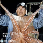 포항 돌문어 1부2부 최종 씨알급호조황