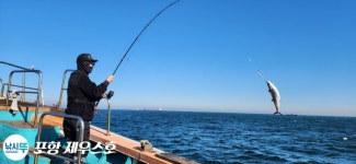 실시간 포항선상낚시 삼치ㅡ팡팡~잘 올라오고~11/22.수.오전.8시 절찬리에 예약중.