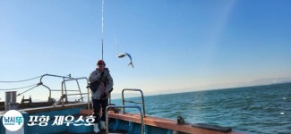 실시간 포항선상낚시 삼치ㅡ팡팡~잘 올라오고~11/22.수.오전.8시 절찬리에 예약중.