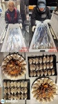 통영낚시친구)~대치들 3지박4지급들 좀잡았습니다