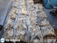 (西)서해조황 - 23일격포럭키스타 8분 쭈꾸미 *대박조황