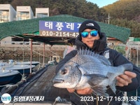 태풍레저 미약양식장 안 조황