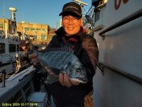 점주 선상조황(2023) 149 페이지 > 인낚ㅣ인터넷바다낚시