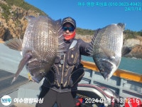 (南)남해조황 - 54,50,45,40 대물감성돔 시즌이 되었습니다