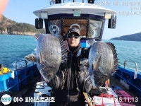 주말 조황입니다.